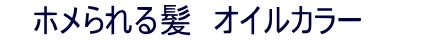 オイルカラー・イノアカラーメニュープライス